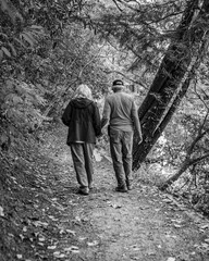 cute mature or elderly couple walking in the woods or forest hiking and holding hands in love,...