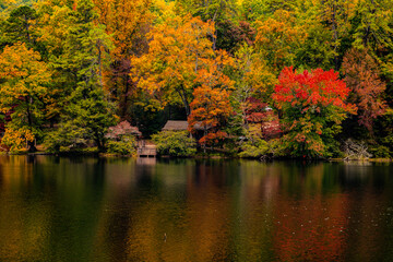 beautiful autumn trees with vibrant colors reflected in water at Vogel state park in Georgia landscape background