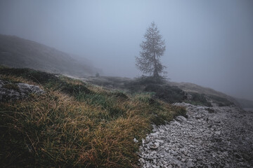 Dolomiten Berge Nebel Wolken Wandern Weg Steine Wetter rau schlecht Bergtour Bergsteigen Haijk...