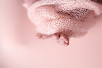 Newborn baby feet on an pink background wrapped in a knitted blanket