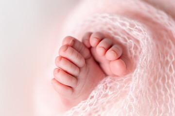 Closeup of newborn  feet wrapped in a knitted blanket