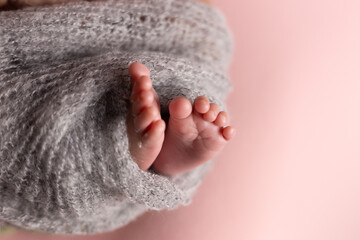 Newborn baby feet on a pink background wrapped in a knitted blanket