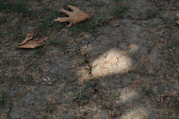 Drying soil with dry yellow grass on it.