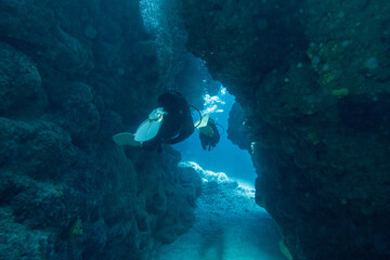 Naklejka na ściany i meble I went scuba diving in the Kerama Islands in Okinawa.
