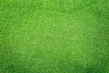 Green grass background texture. Green lawn texture background. top view.