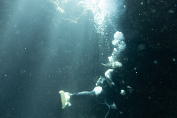I went scuba diving in the Kerama Islands in Okinawa.
