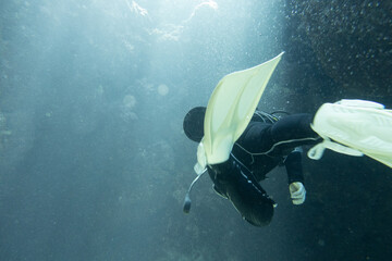 I went scuba diving in the Kerama Islands in Okinawa.