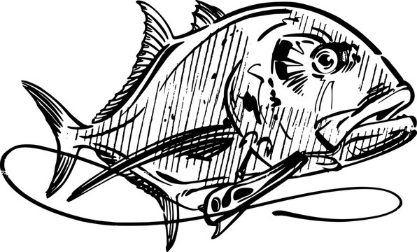 black and white  trevally fish,