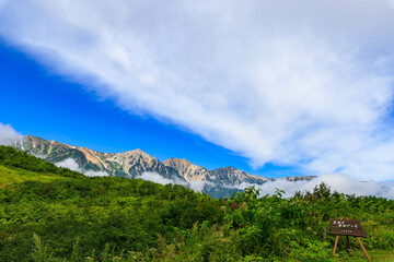 黒菱平から望む白馬三山