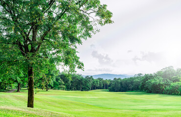 Fototapeta na wymiar Golf course with green turf landscape. Green grass field with forest and mountain as background. Golf course at hotel or resort. Landscape of golf course and trees. Green sports field. Green field.