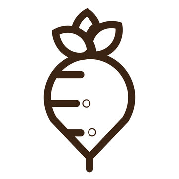 recommend clip art: beet food ingredients radish vegetable outline icon
