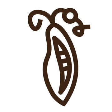 Bean Metamorphosis Pod Sex Sexy Vegetable Outline Icon