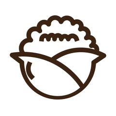 brassica cabbage cauliflower vegetable outline icon