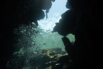 I went scuba diving in the Kerama Islands in Okinawa.