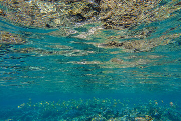 Snorkeling at the Kerama Islands in Okinawa.