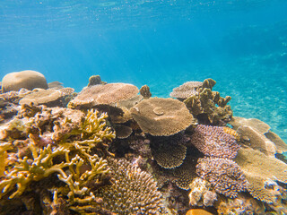 Snorkeling at the Kerama Islands in Okinawa.