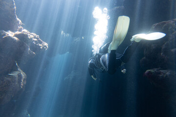 Fototapeta na wymiar Snorkeling at the Kerama Islands in Okinawa.