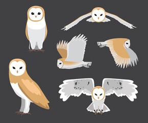 Barn Owl Various Poses Flying Cartoon Vector