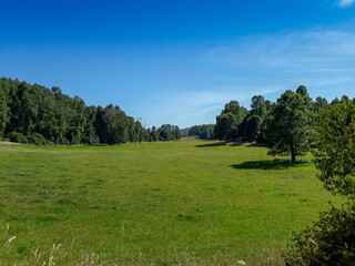 Lush Green Valley in the Araucan&iacute;a Region of Chile
