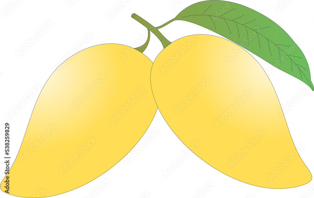 Wall mural mango fruit png 1