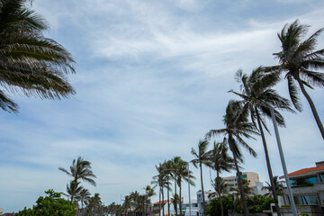 Fototapeta na wymiar Palm framed view of the skyline of downtown Boca Del Rio, Veracruz, Mexico.