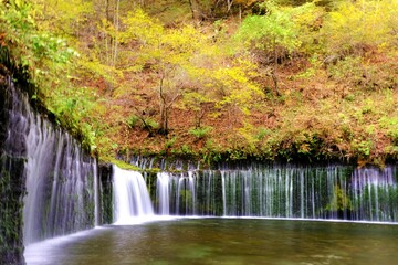秋の軽井沢　白糸の滝