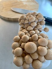 パックのしめじ