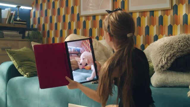 Young girl filming dog on digital tablet computer, making portrait pictures of pet, creating content for personal blog, spending leisure time at home. Golden retriever.