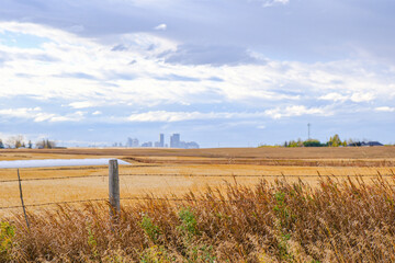 Farm fields with Calgary alberta skyline in the distance - obrazy, fototapety, plakaty