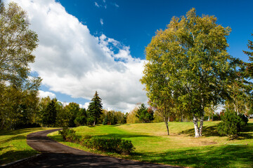 秋晴れの緑豊かな公園