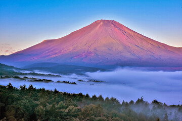 Fototapeta na wymiar 赤富士と雲海