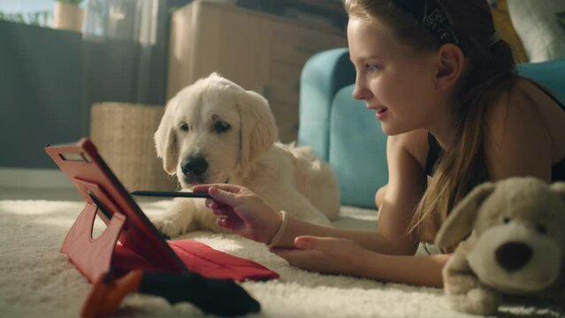 Young girl playing with dog on tablet, lying on mild carpet, showing gaming animations, smiling and having fun, spending leisure time at home. Golden retriever.