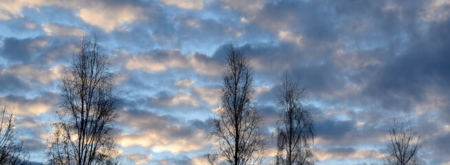 Dark and glowing red clouds clouds in the blue sky at sunrise.Dark red cloudy landscape. The beauty of nature, panorama