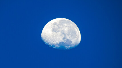 moon in the sky