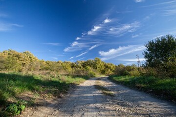 road in the forest