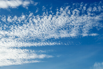 In the blue sky high cirrocumulus white clouds. - obrazy, fototapety, plakaty