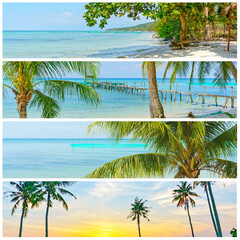 collage of images of beach with palm trees	
