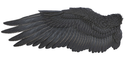 3D Rendered Fantasy Bird Wings Isolated On Transparent Background - 3D Illustration