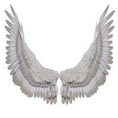 Fototapeta premium 3D Rendered Fantasy Bird Wings Isolated On Transparent Background - 3D Illustration
