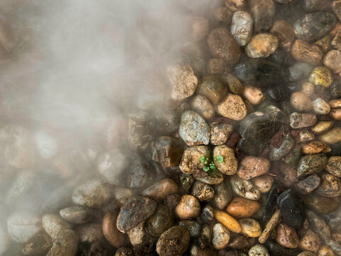 Colorful wet rocks top view under fog and small green moss. Beautiful nature background