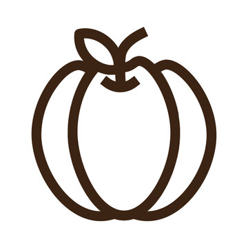 bell pepper capcicum pepper sweet pepper vegetable outline icon