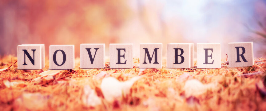 The month of November is a word made of cubes in the forest on an autumn background