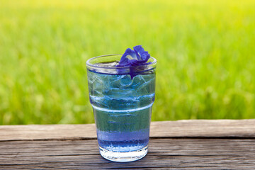 Butterfly Pea Tea on the rice fields background. Beautiful Nature in Kanchanaburi, Thailand. Healthy drink with a View.