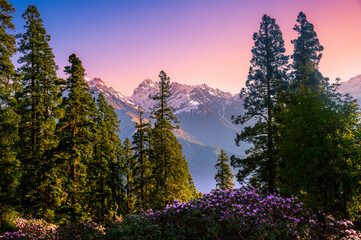 Sunset in the mountains. These are the scenic meadows of the Parvati valley Himalayan region. Peaks...