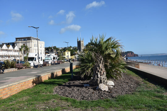 Paignton Images – Browse 858 Stock Photos, Vectors, and Video | Adobe Stock