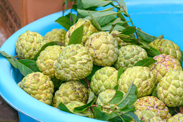 Group of green Custard apple also know as Sugar-apple in bowl