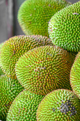 close-up of group green jackfruit