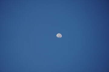 Naklejka na ściany i meble Moon in the sky. Copyspace