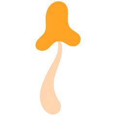 Hand drawn Autumn Branch, Plant, Leaf, Flower and Floral Elements