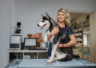 Photo of glad female vet checking up cheerful pedigreed dog in modern veterinary clinic.